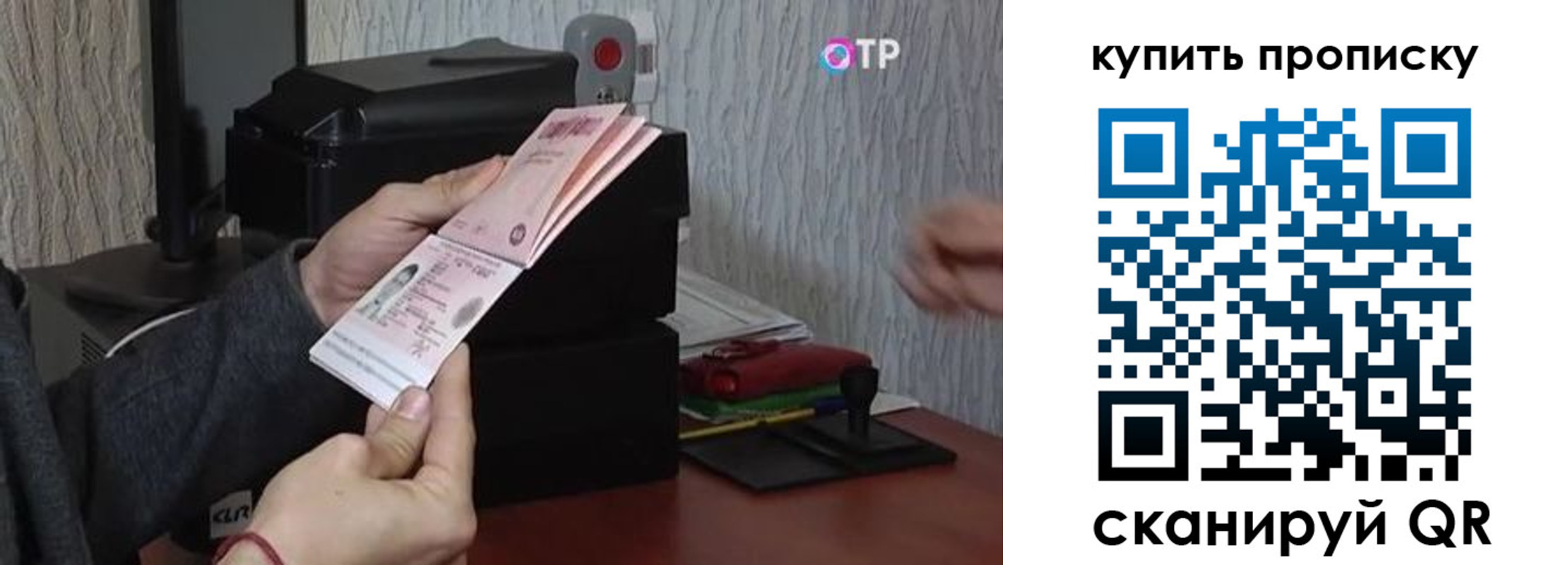 прописка гарантия в Павловске