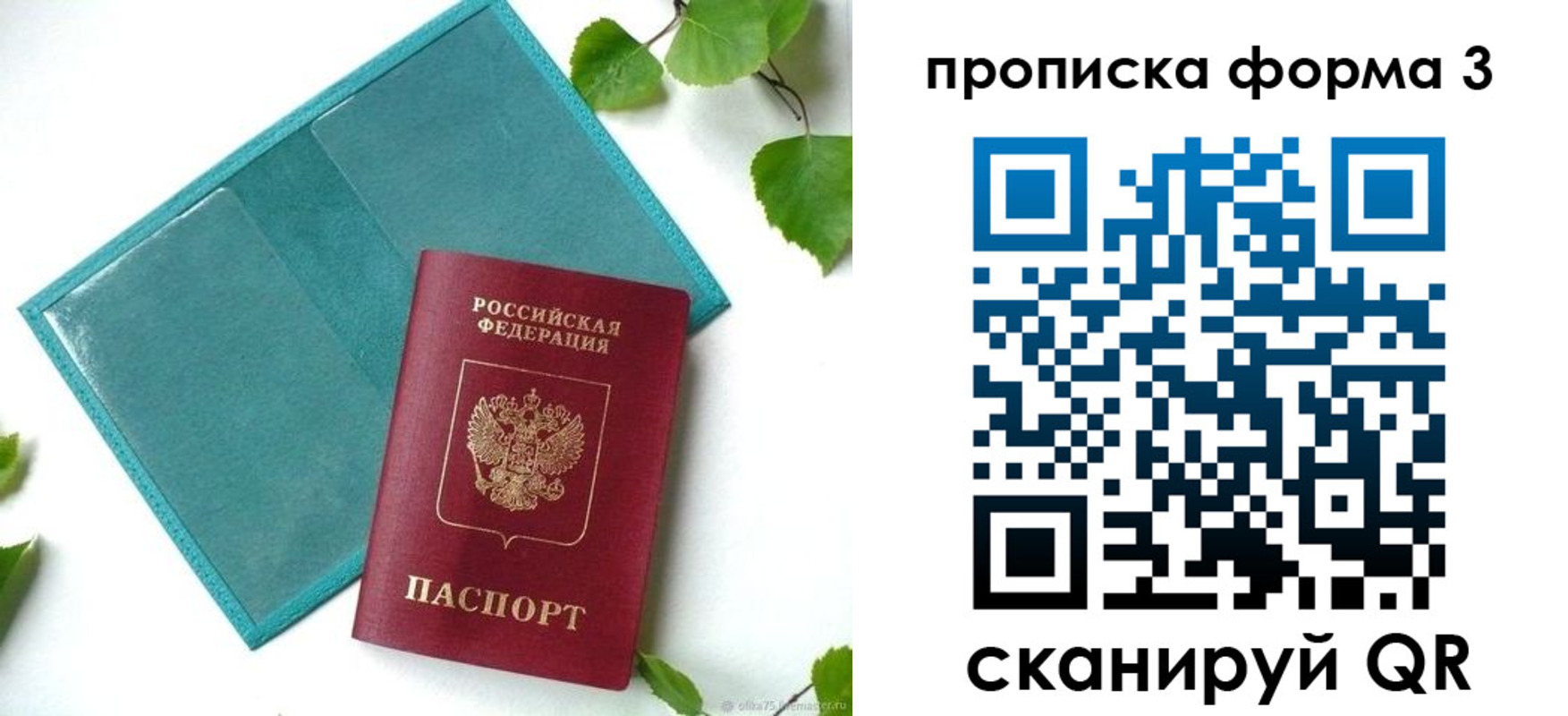 прописка ребенка в Павловске